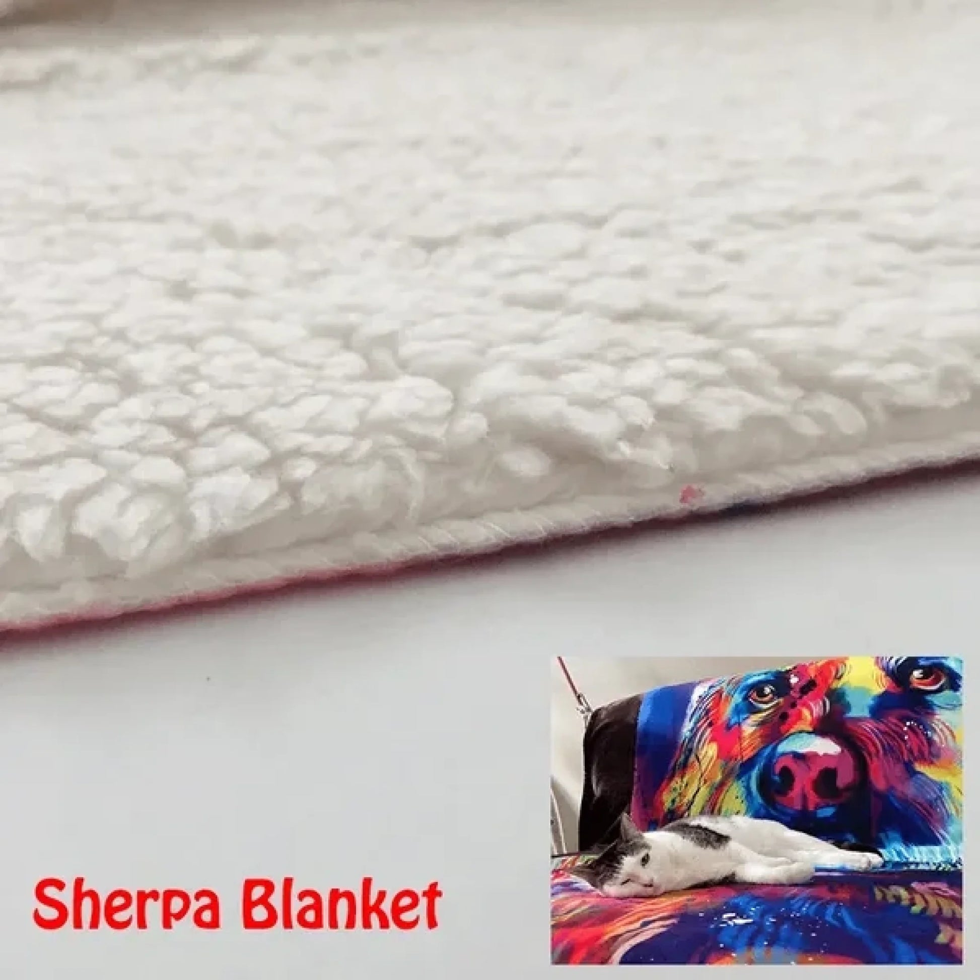 65966841b87c9_large
