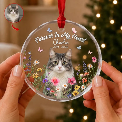260828_KYCgvr2VwijjSqHX_large